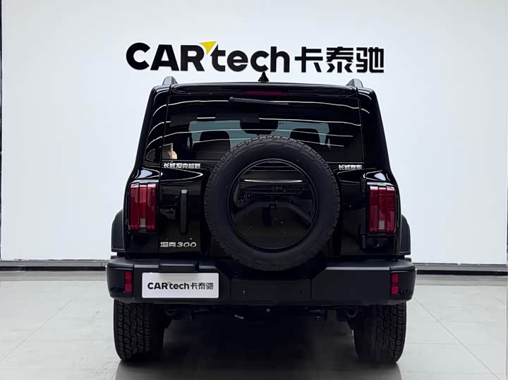 Tank 300 2024 2024款 2.0T 征服者