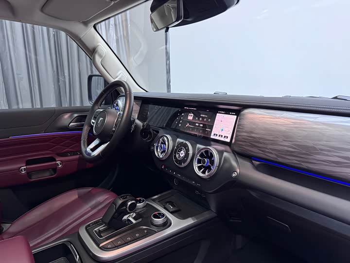 Tank 300 2024 2024款 2.0T 征服者