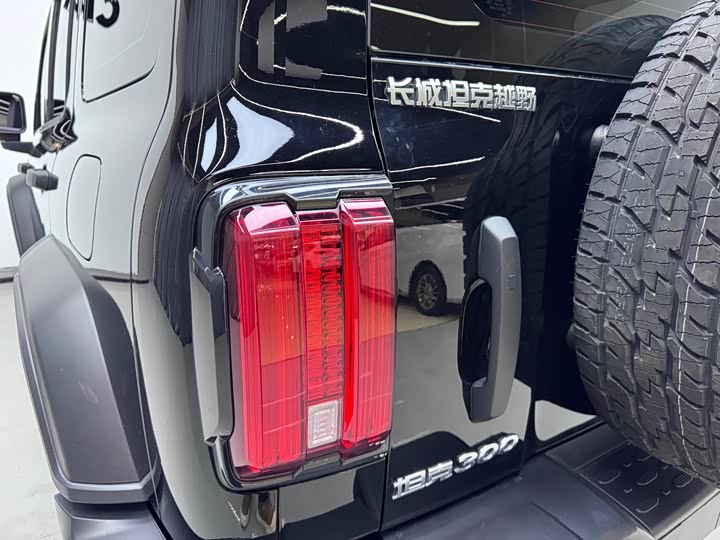 Tank 300 2024 2024款 2.0T 征服者