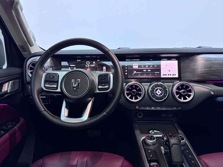 Tank 300 2024 2024款 2.0T 征服者