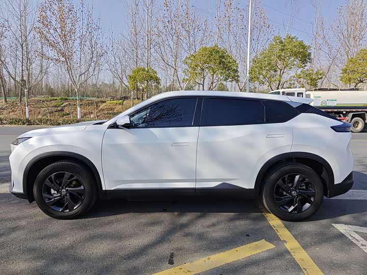 Dongfeng Aeolus Sky EV01 2024 2024款 445km PRO