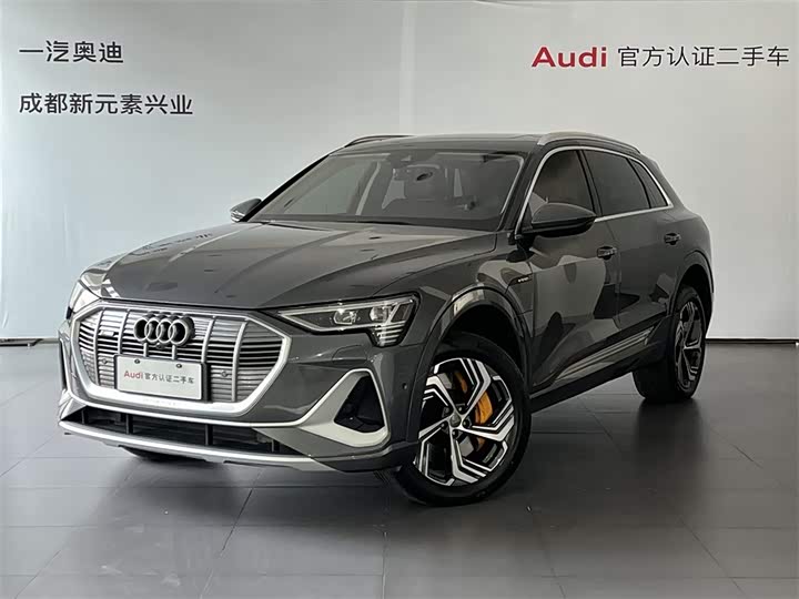 Audi e-tron 2021 2021款 50 quattro 臻选型