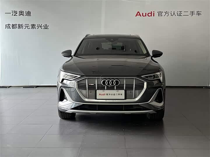 Audi e-tron 2021 2021款 50 quattro 臻选型