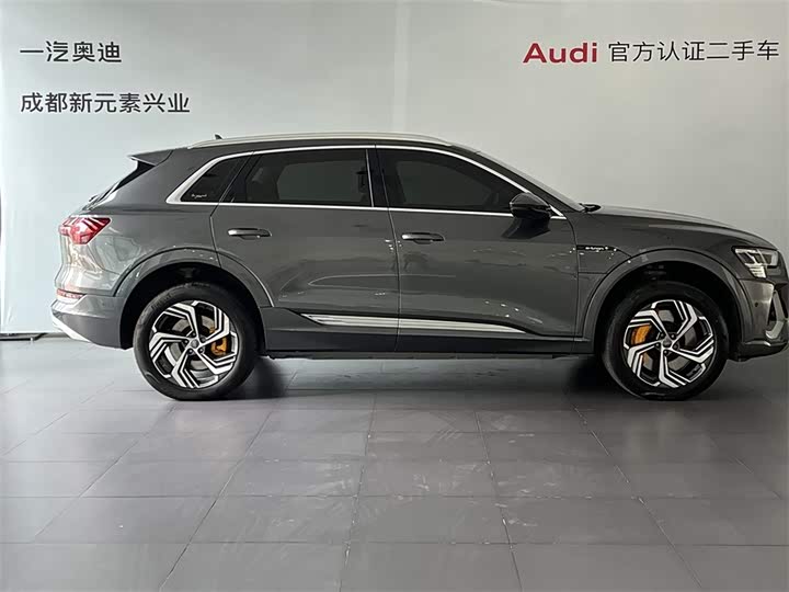 Audi e-tron 2021 2021款 50 quattro 臻选型