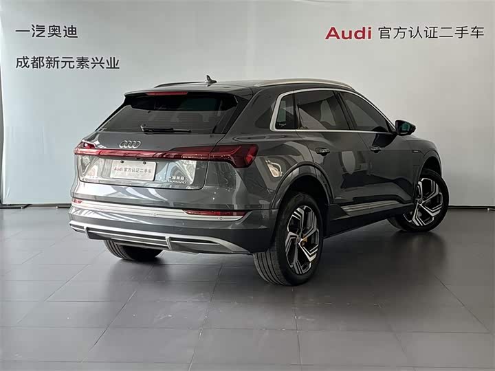 Audi e-tron 2021 2021款 50 quattro 臻选型