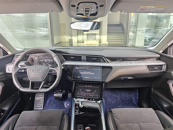 Audi e-tron 2021 2021款 50 quattro 臻选型