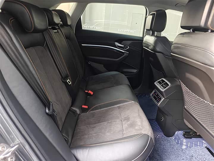 Audi e-tron 2021 2021款 50 quattro 臻选型