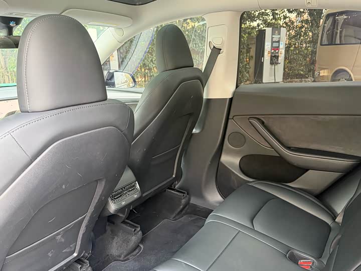 Tesla Model Y 2024 2024款 后轮驱动版