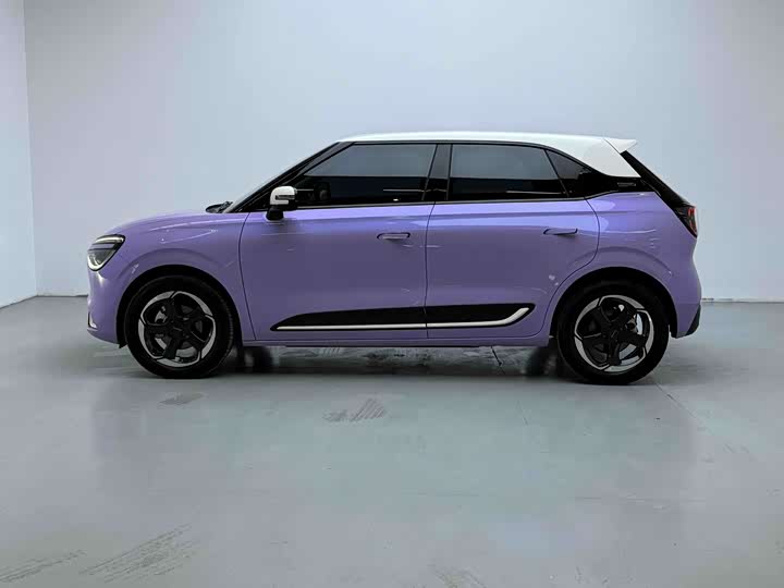 Dongfeng Nammi 01 2024 2024款 焕新版 430 Plus智+