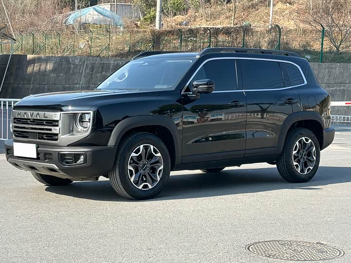 Haval Dargo 2024 2024款 2.0T DCT中华田园犬版