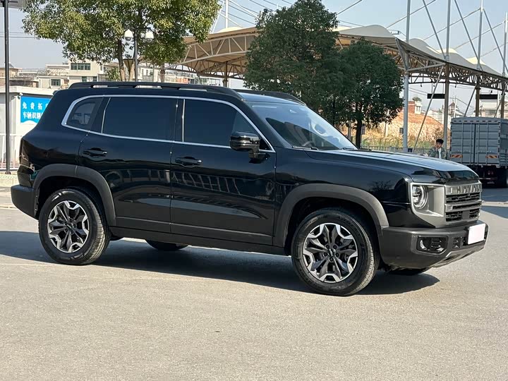 Haval Dargo 2024 2024款 2.0T DCT中华田园犬版