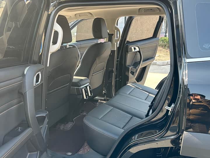 Haval Dargo 2024 2024款 2.0T DCT中华田园犬版