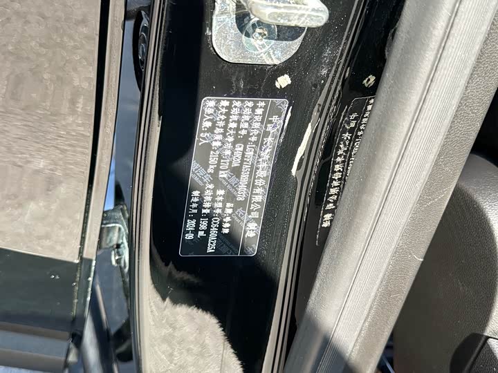 Haval Dargo 2024 2024款 2.0T DCT中华田园犬版