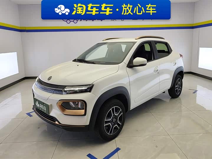 Dongfeng Nammi Nano EX1 2022 2022款 追风版 331KM 标准型