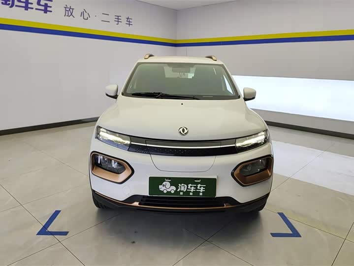 Dongfeng Nammi Nano EX1 2022 2022款 追风版 331KM 标准型