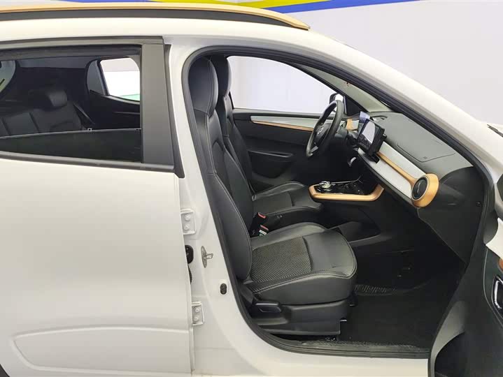 Dongfeng Nammi Nano EX1 2022 2022款 追风版 331KM 标准型