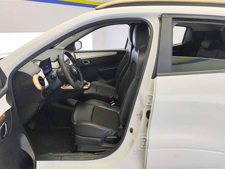 Dongfeng Nammi Nano EX1 2022 2022款 追风版 331KM 标准型