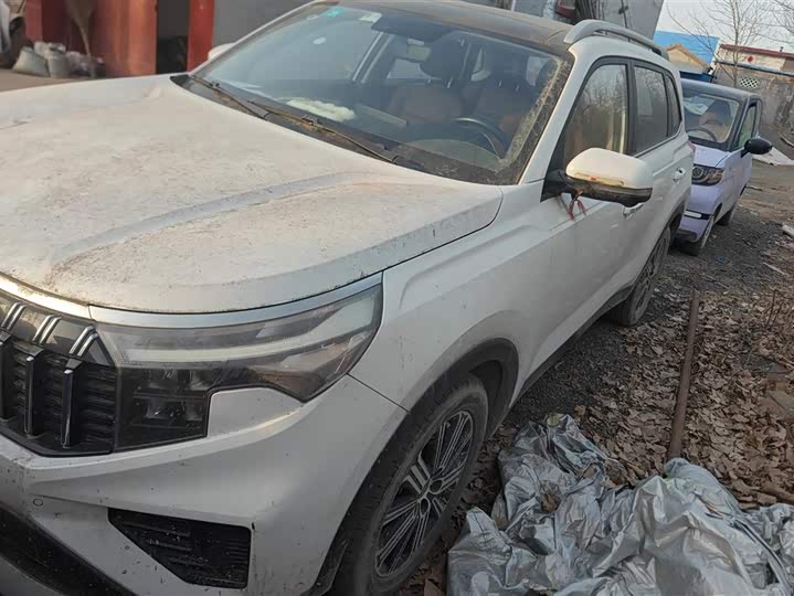 Kia Sportage GT-line 2021 2021款 Ace 2.0L 精彩版