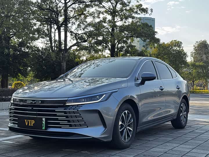 BYD Destroyer 05 2024 2024款 荣耀版 DM-i 55KM 豪华型