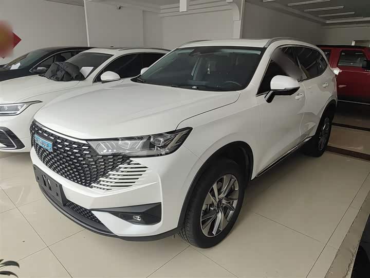 Haval H6 Hybrid 2023 2023款 DHT-PHEV 110KM 悦行版
