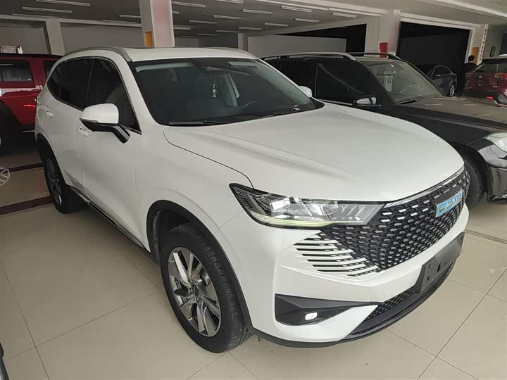 Haval H6 Hybrid 2023 2023款 DHT-PHEV 110KM 悦行版