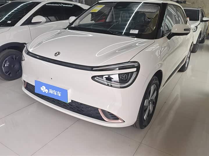 Dongfeng Nammi 01 2024 2024款 焕新版 430 Max智+