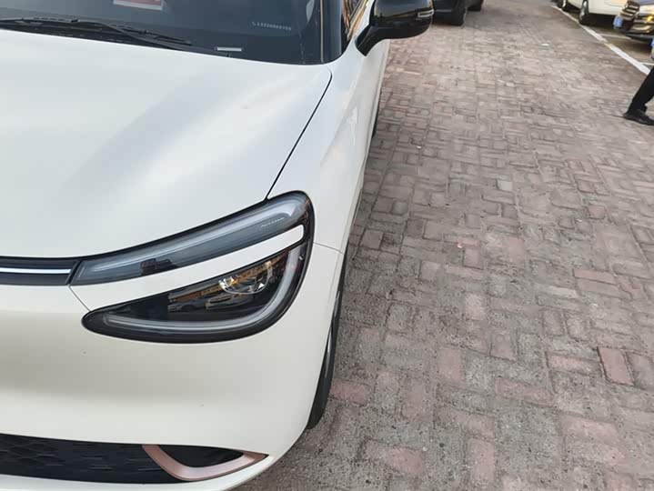 Dongfeng Nammi 01 2024 2024款 焕新版 330 Air