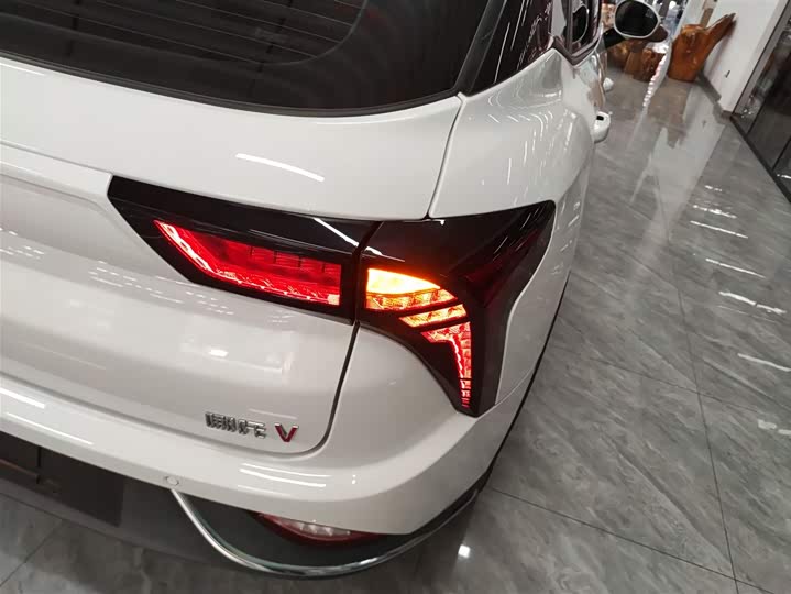 Hozon V 2022 2022款 潮 400 Lite