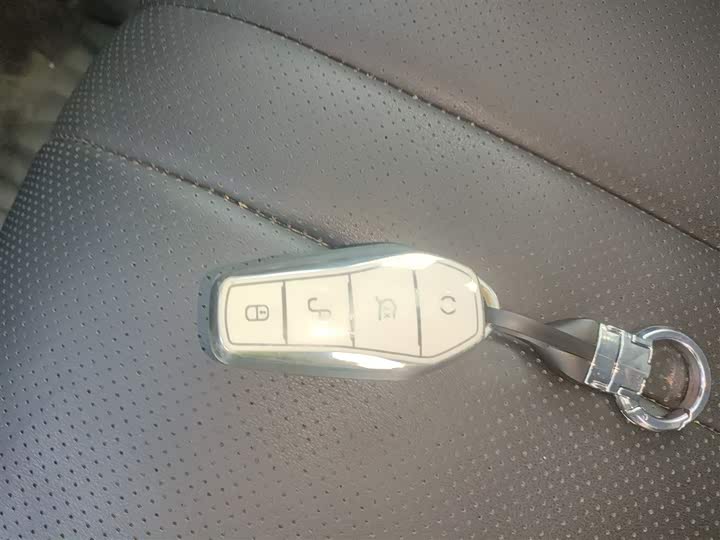 BYD Sea Lion 05 DM-i Hybrid 2025 2025款 DM-i 智驾版 115KM旗舰型