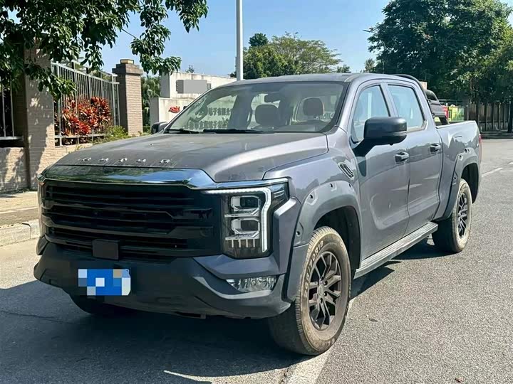 Foton Mars 7 2023 2023款 火星7 2.0T柴油自动两驱标轴精英型