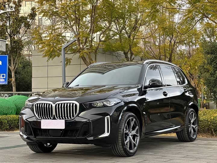 BMW X5 2025 2025款 xDrive 30Li 尊享型M运动曜夜套装