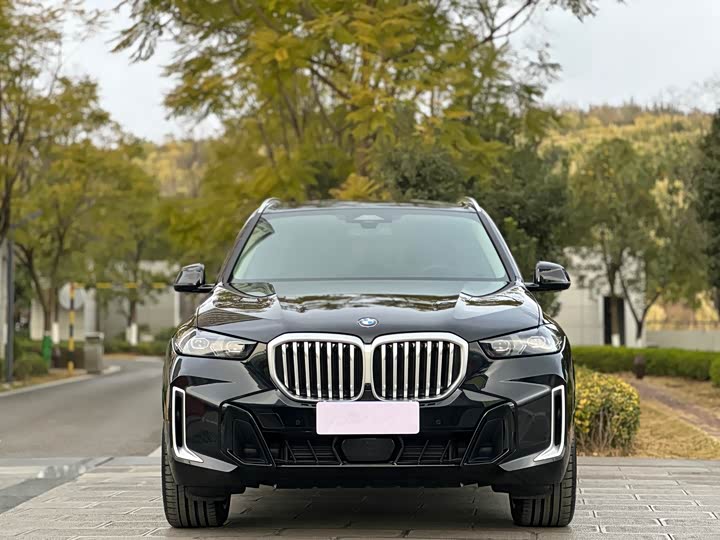 BMW X5 2025 2025款 xDrive 30Li 尊享型M运动曜夜套装