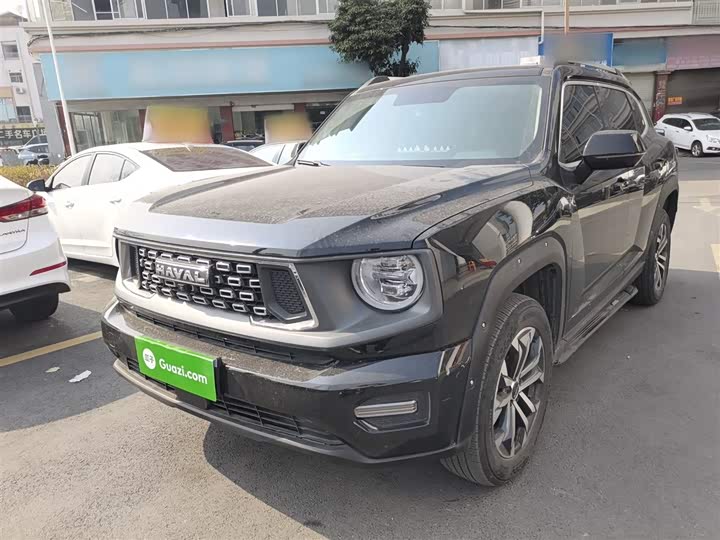 Haval H-Dog 2023 2023款 2.0T 两驱潮野版