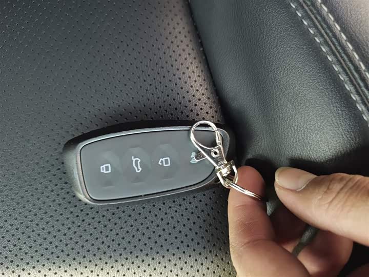 Haval H-Dog 2023 2023款 2.0T 两驱潮野版