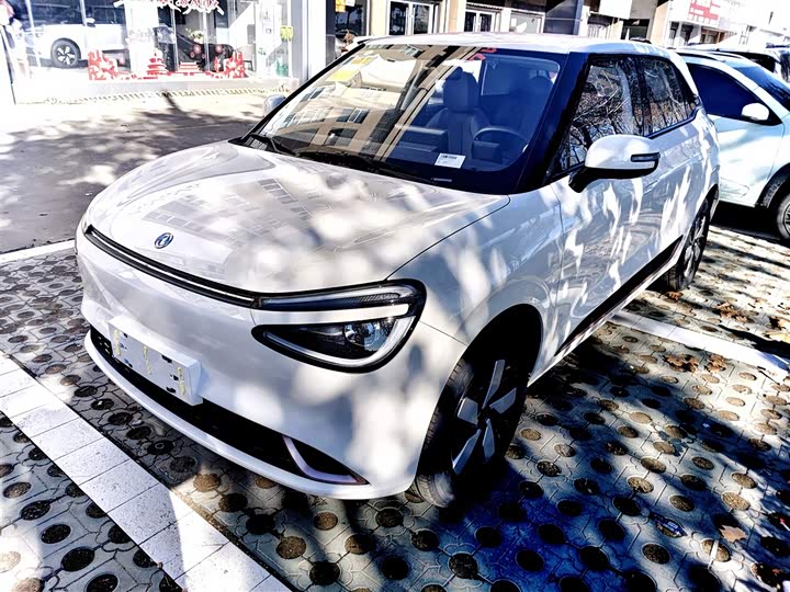 Dongfeng Nammi 01 2026 2026款 初心款 330Air