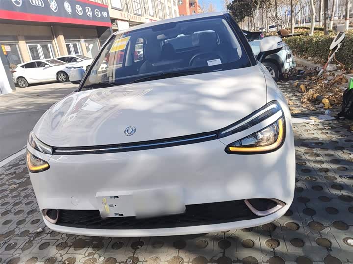 Dongfeng Nammi 01 2026 2026款 初心款 330Air