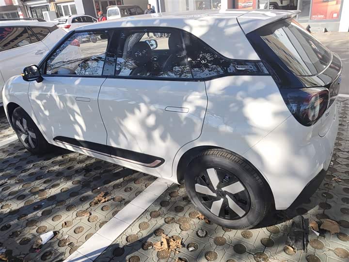 Dongfeng Nammi 01 2026 2026款 初心款 330Air