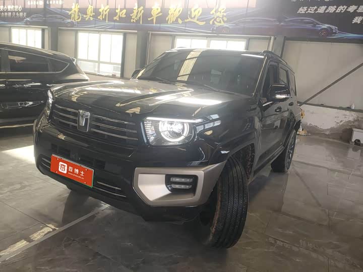 Tank 700 Hybrid 2024 2024款 Hi4-T 极境版