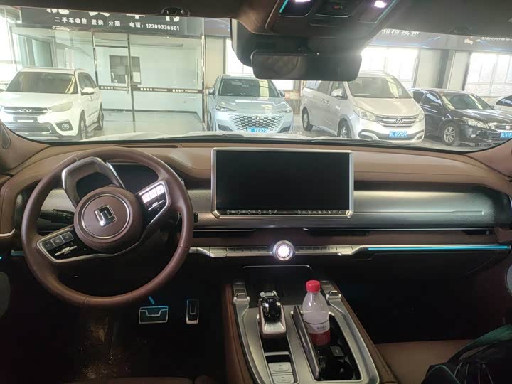 Tank 700 Hybrid 2024 2024款 Hi4-T 极境版