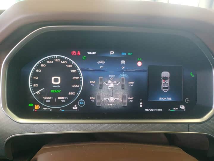 Tank 700 Hybrid 2024 2024款 Hi4-T 极境版