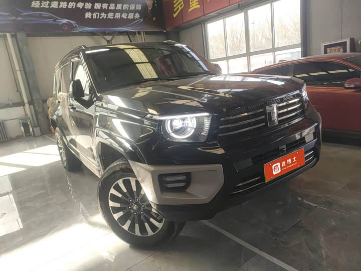 Tank 700 Hybrid 2024 2024款 Hi4-T 极境版