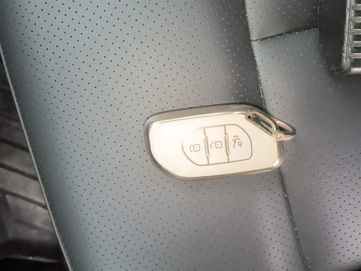 Dongfeng Forthing T5 EVO 2024 2024款 狂飚版 1.5TD DCT定制款