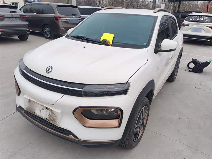 Dongfeng Nammi Nano EX1 Pro 2023 2023款 PRO 轻风版闪电型