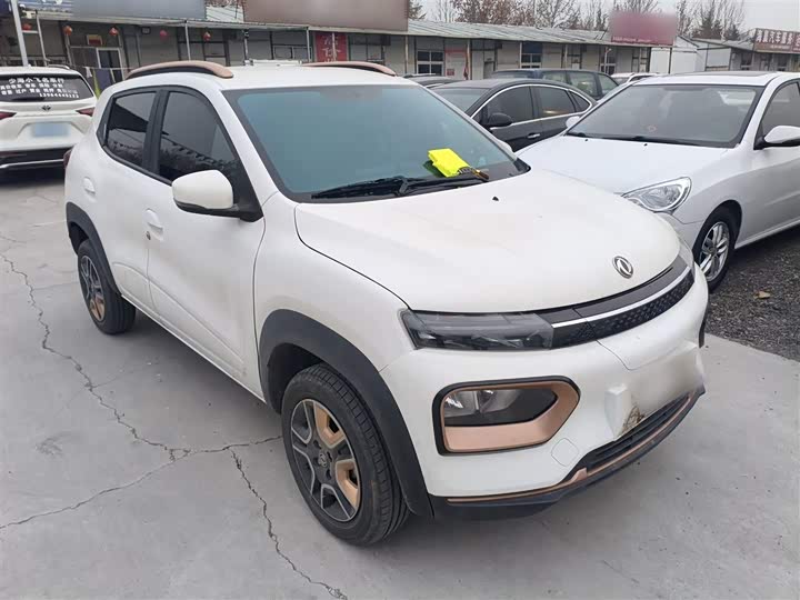 Dongfeng Nammi Nano EX1 Pro 2023 2023款 PRO 轻风版闪电型