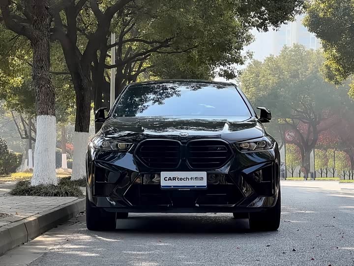 BMW X6 M 2023 2023款 X6 M 雷霆版