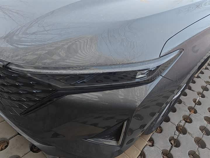 Changan Raeton Plus 2023 2023款 1.5T DCT豪华型