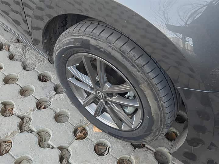 Changan Raeton Plus 2023 2023款 1.5T DCT豪华型