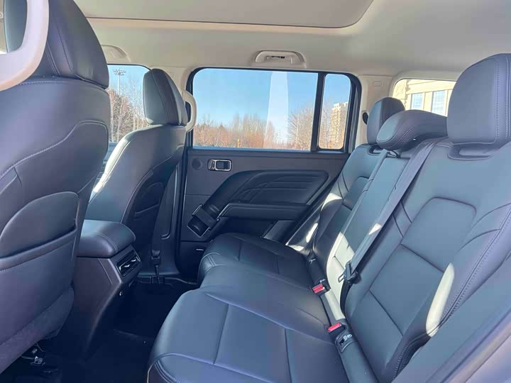 Haval Raptor Hybrid 2024 2024款 Hi4 102 Pro