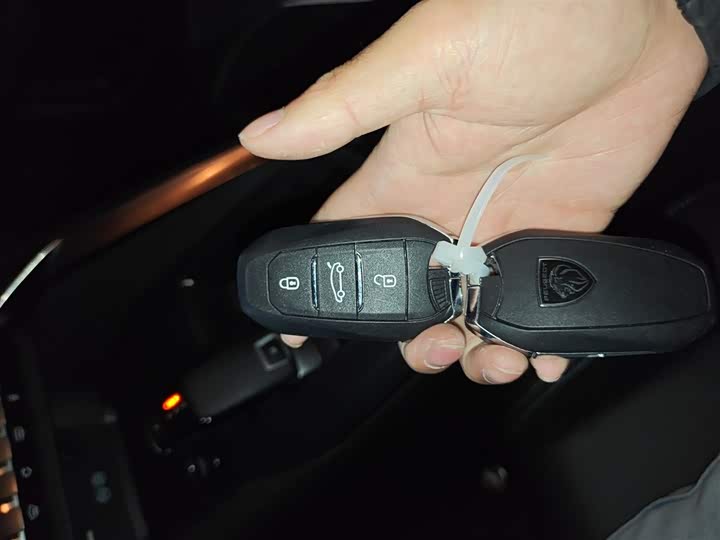 Peugeot 4008 2024 2024款 360THP 驾趣版