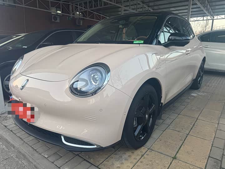 Ora Good Cat (03) 2024 2024款 401km 尊荣型 126kW